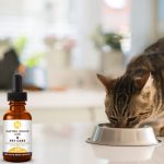 CBD oil for cats